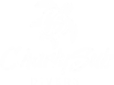 Charly-Sub logo